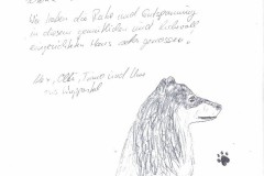 Ferienhaus-Villa-Muetze-Gaestebucheintrag-2